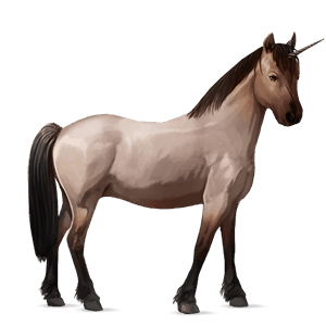 unicorn pony newfoundland pony roan