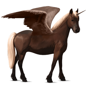 winged unicorn pony  kerry bog dark bay