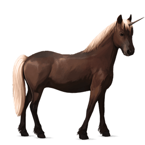 unicorn pony belgian riding pony chestnut