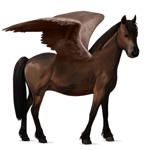 pegasus pony newfoundland pony liver chestnut