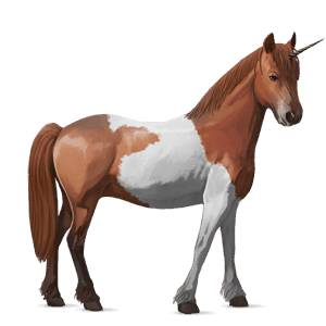 unicorn pony kerry bog chestnut tobiano