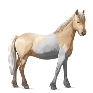 pony kerry bog light grey