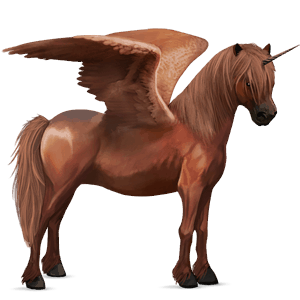 winged unicorn pony  connemara dark bay