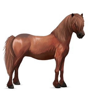 riding horse hanoverian chestnut