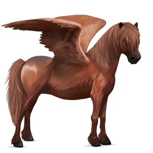 pegasus pony highland pony chestnut