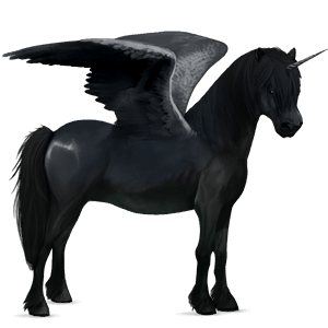 winged unicorn pony  connemara dark bay