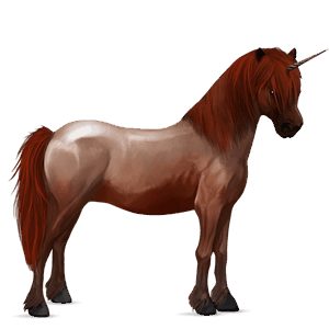 unicorn pony kerry bog bay