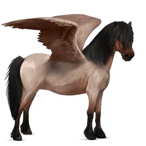 pegasus pony highland pony flaxen liver chestnut 