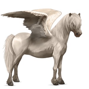 pegasus pony kerry bog bay tobiano