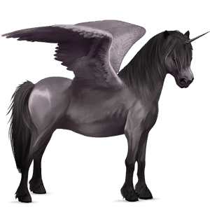 winged unicorn pony  mouse grey