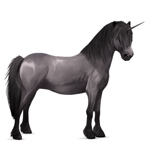 unicorn pony highland pony mouse grey