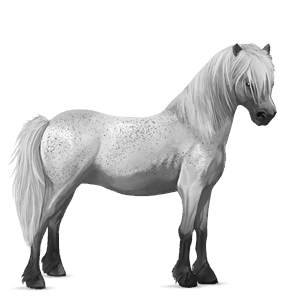 riding horse camargue light grey