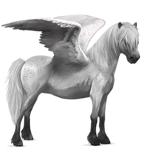 pegasus pony kerry bog mouse grey