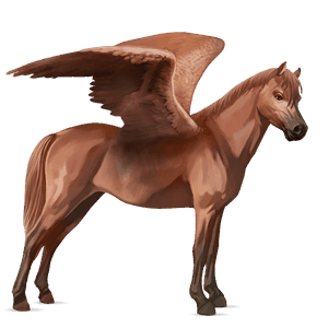 pegasus pony newfoundland pony chestnut