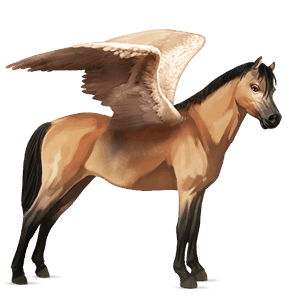 pegasus pony fjord ulsblakk