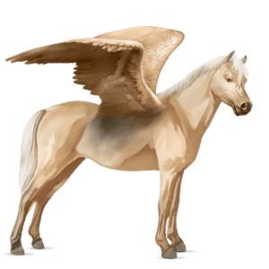 pegasus pony connemara palomino