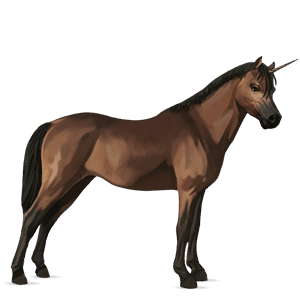unicorn pony newfoundland pony cherry bay