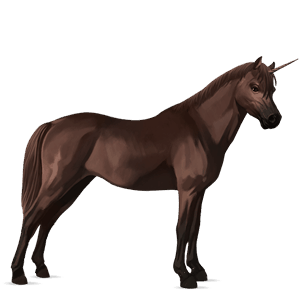 unicorn pony newfoundland pony liver chestnut