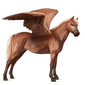 pegasus pony welsh flaxen chestnut 