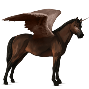 winged unicorn pony  kerry bog dark bay