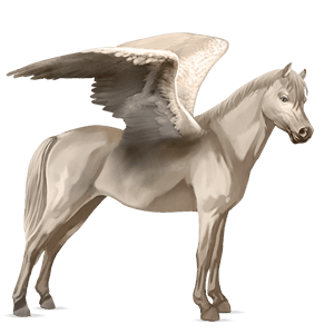 pegasus pony newfoundland pony cremello