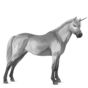 unicorn pony kerry bog light grey