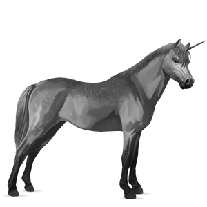 unicorn pony kerry bog dapple grey