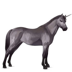 unicorn pony connemara mouse grey