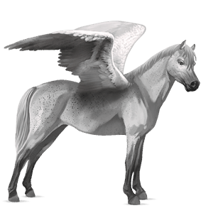 pegasus pony connemara dapple grey
