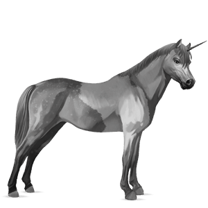 riding unicorn black
