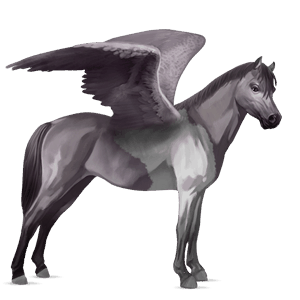 pegasus pony light grey