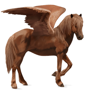 riding pegasus marwari chestnut