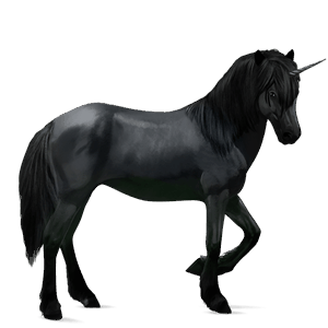 riding unicorn misaki black