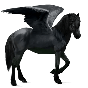 riding pegasus hanoverian black
