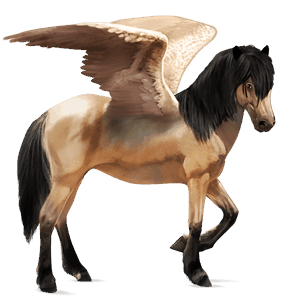 riding pegasus canadian horse black