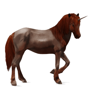 riding unicorn icelandic horse strawberry roan