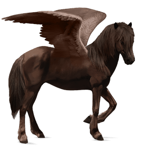 riding pegasus icelandic horse liver chestnut
