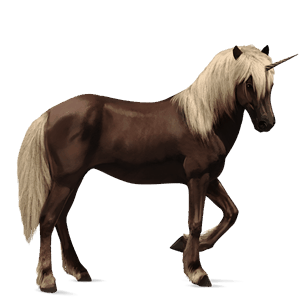 unicorn pony newfoundland pony dark bay