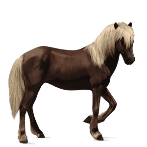 riding horse tennessee walker black