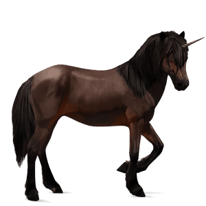 riding unicorn chestnut