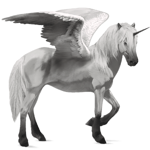 winged riding unicorn akhal-teke black