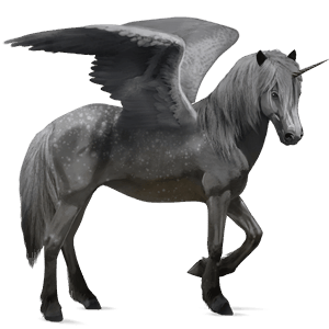 winged riding unicorn icelandic horse chestnut