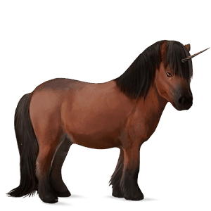 unicorn pony newfoundland pony cherry bay
