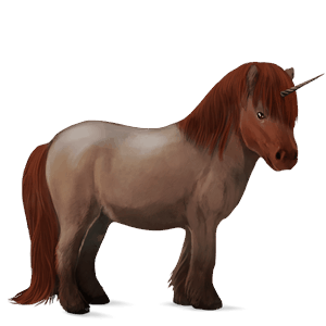 unicorn pony shetland black tobiano