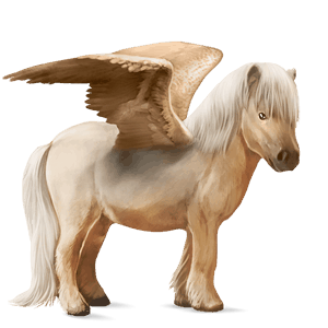 pegasus pony shetland dark bay
