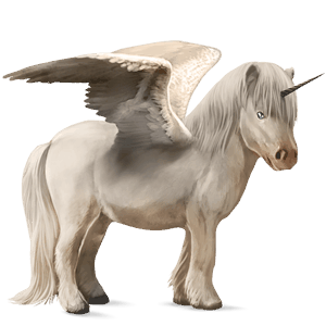 winged unicorn pony  shetland dark bay
