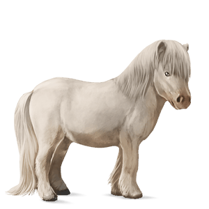 donkey standard donkey white