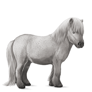pony new forest light grey