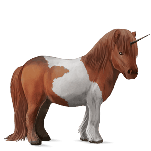 unicorn pony cherry bay