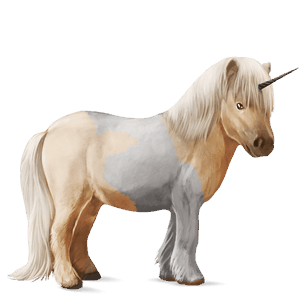 unicorn pony shetland dapple grey